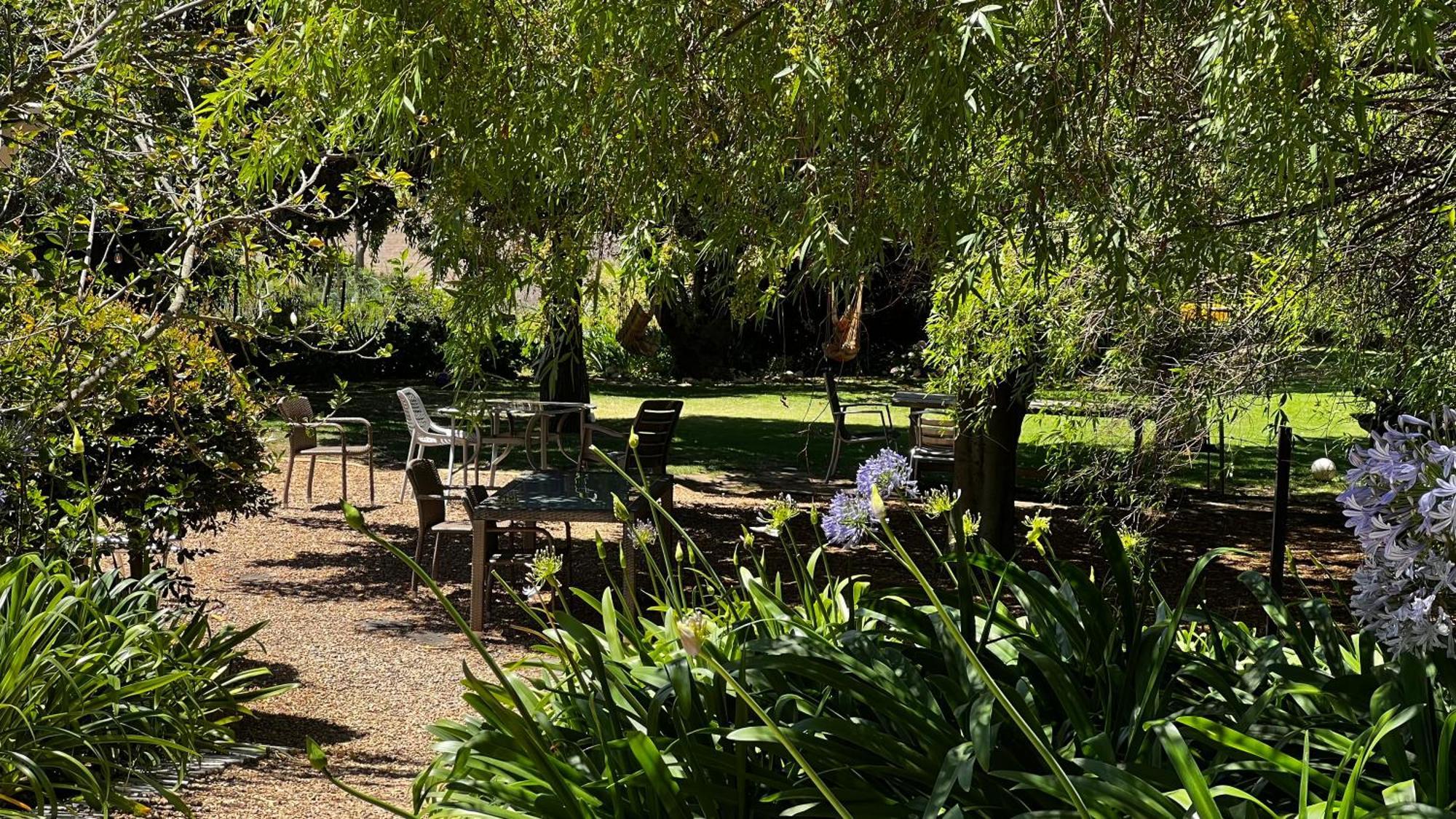 In The Vine Country Manor Guesthouse Stellenbosch Zewnętrze zdjęcie